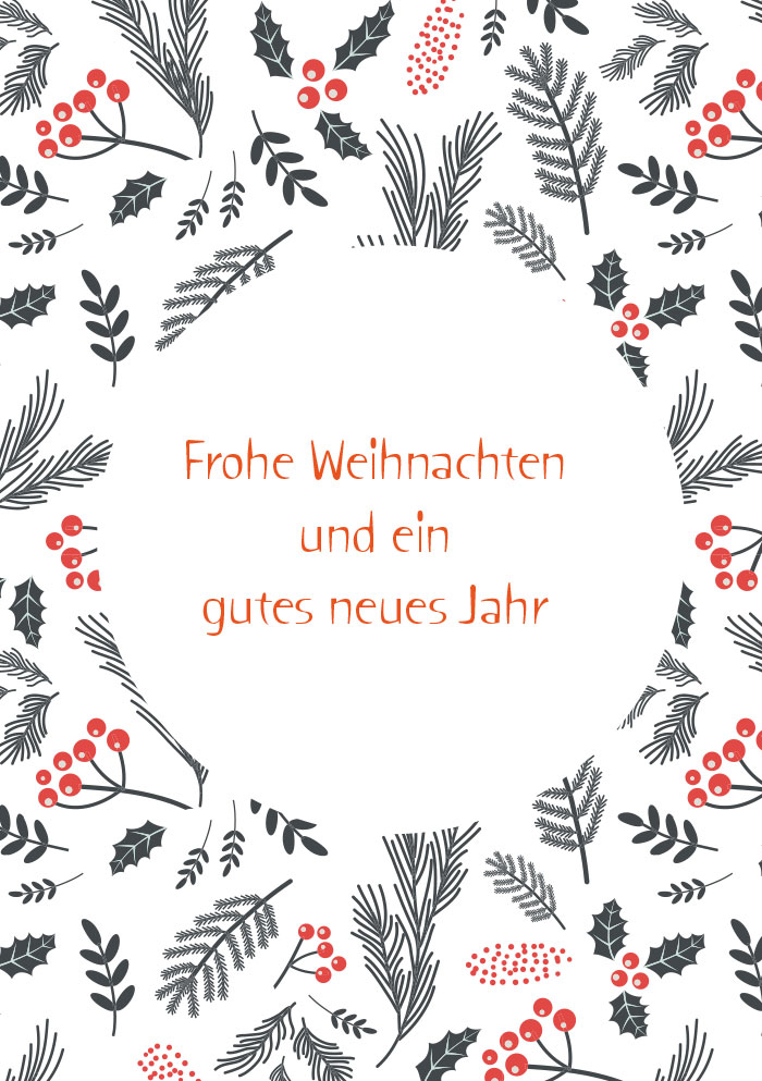 Weihnachten - Kleine Kartengr??e Beeren, Zweige, illustriert NEU!!!