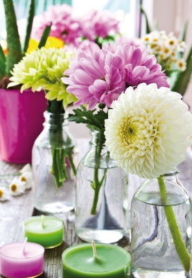 Blumen - rosa, weiß, grüne Blumen in Vasen