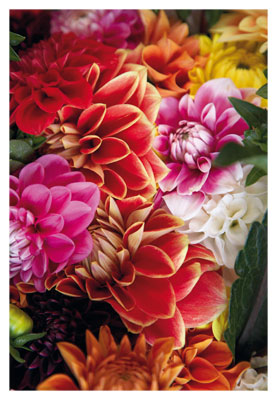 Blumen - Doppelkarte
