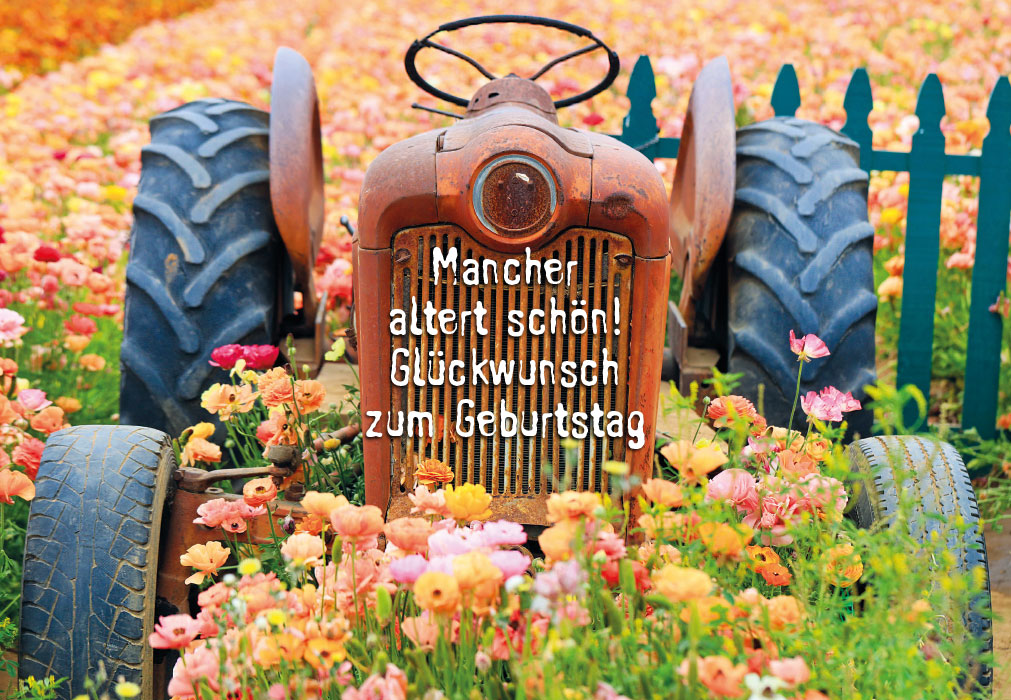 Geburtstag - alter Traktor in Blumenwiese
