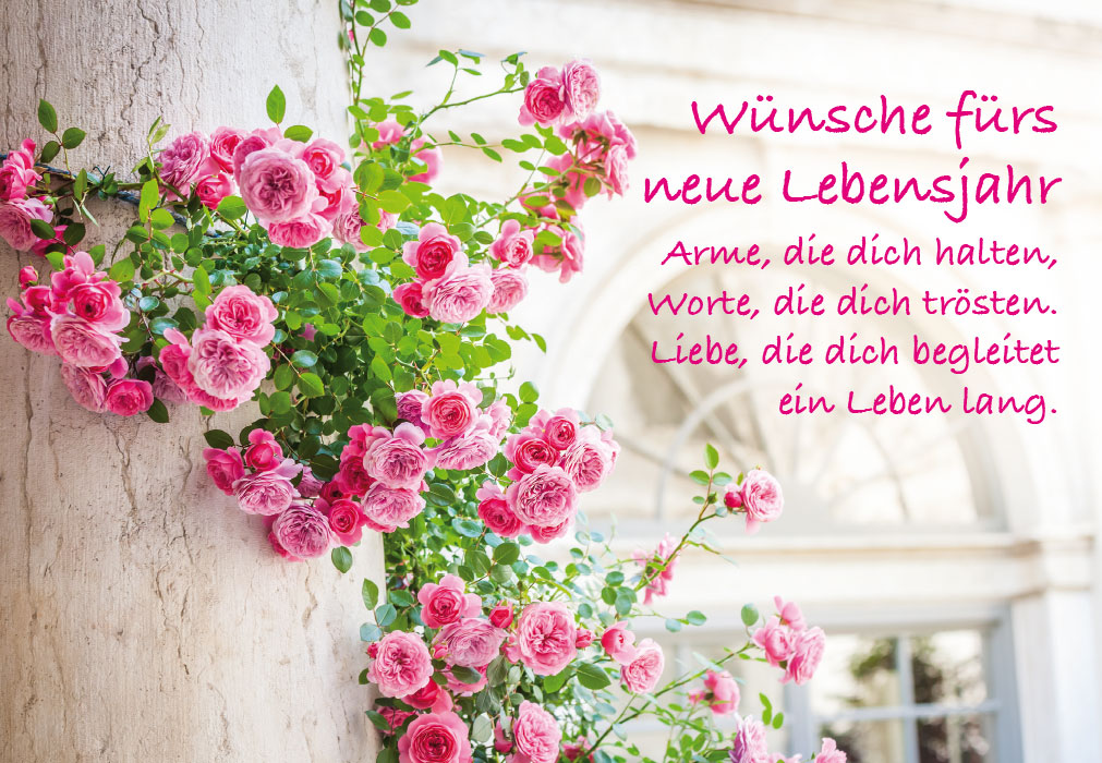Geburtstag - rosa Blumen an Hauswand NEU!!!