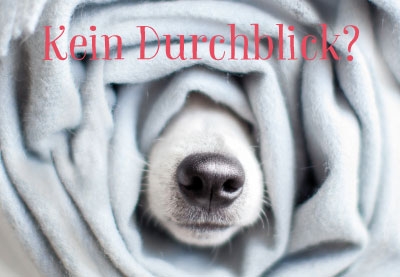 Tierisch gute Laune - Hundeschnauze aus Decke