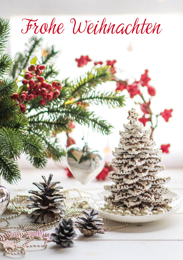 Weihnachten - Kleine Kartengrüße Beeren, Zweige, Zapfen NEU!!!