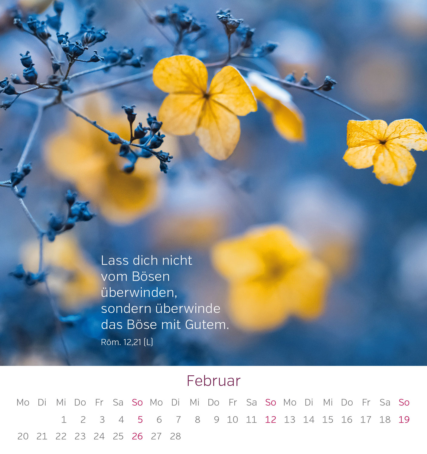 Gedanken aus der Bibel NEU!!!