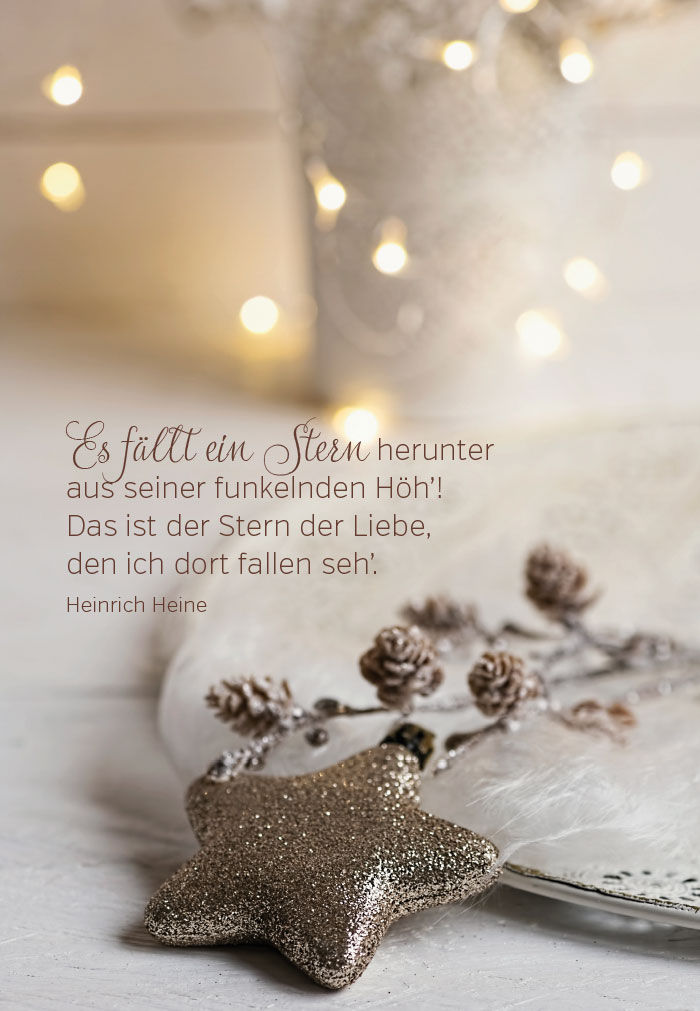 Weihnachten - Weihnachtsstern in Schale