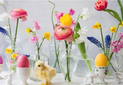 Ostern - Blumen, K?cken, Eier