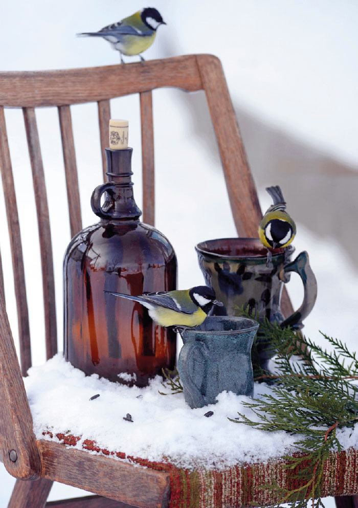 Weihnachten - Kleine Kartengrüße Vögel, Stuhl, Schnee