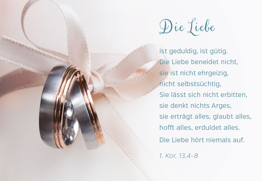 Hochzeit - zwei Ringe in Schleife