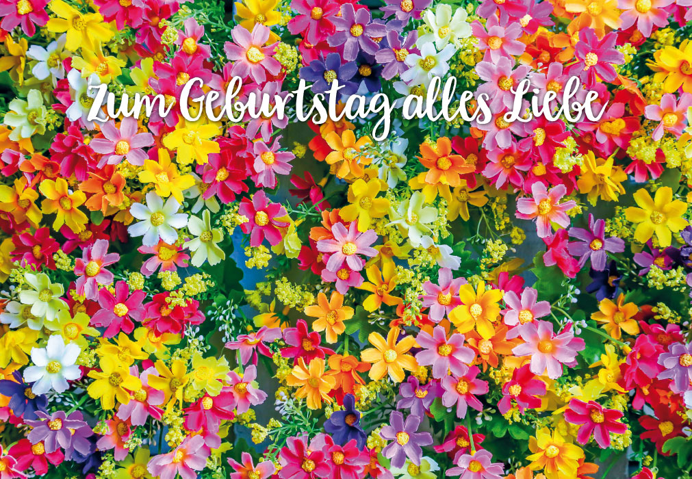 Geburtstag - Blumen, bunte Wiese