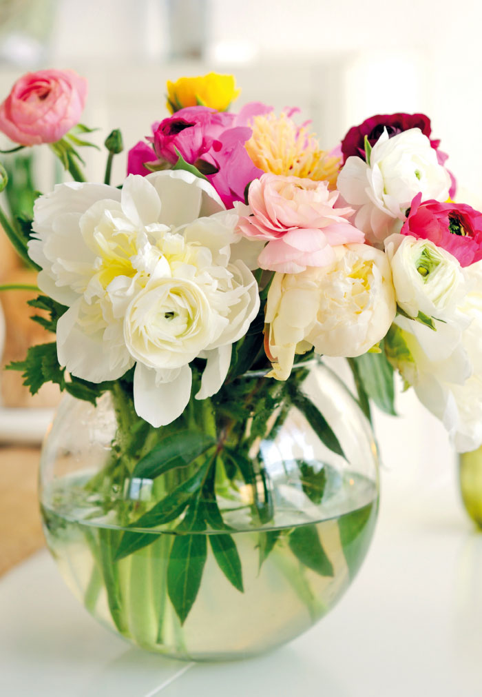 Blumen - bunte Ranunkeln im Strauß in einer Vase
