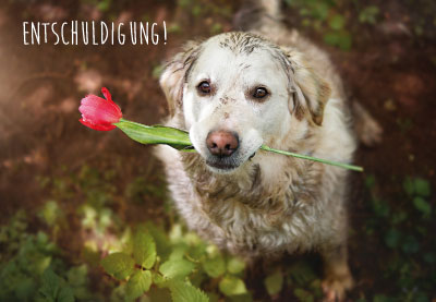 Tiere - Doppelkarte Hund mit Blume
