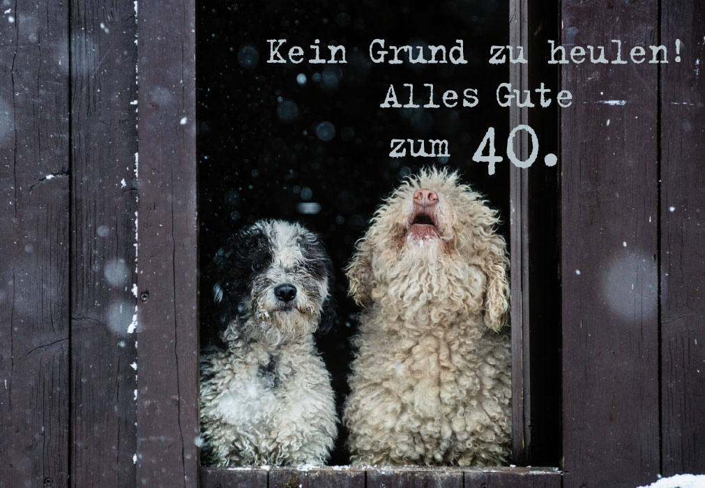 Zahlengeburtstag - Hunde, Fenster, Schnee