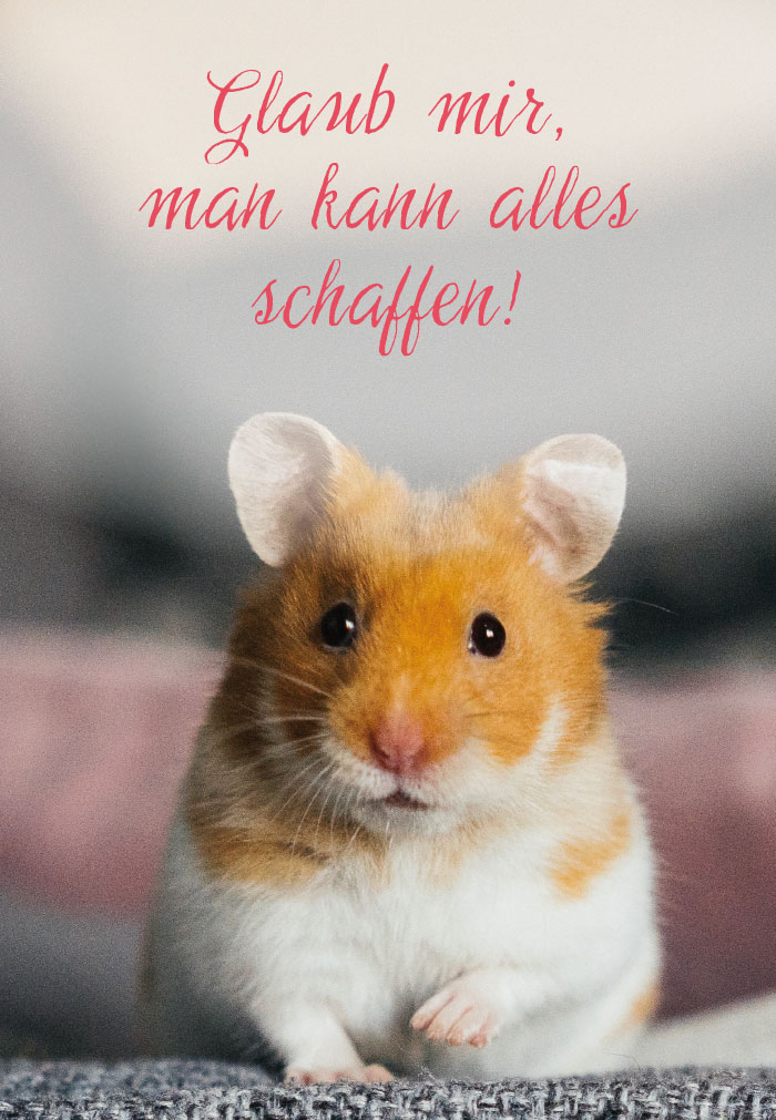 Gute Laune - Hamster am Rand - NEU!!!