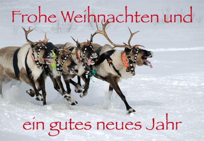 Weihnachten - Doppelkarte, 3 Rentiere